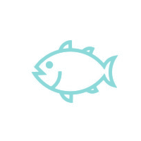 icon4